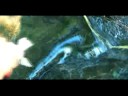 Creep Music Video