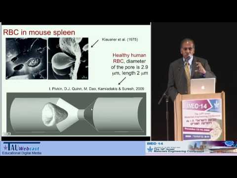 materials-science-at-the-intersections-of-nanotechnology-life-sciences-and-medicine.html