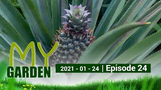 My Garden | Episode 24 | 24 - 01 - 2021