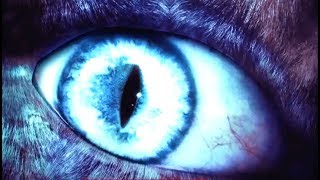 5 Unsolved Mysteries That Cannot Be Explained | Compilation