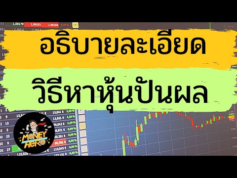 เทคนิคง่ายๆในการหาหุ้นปันผล อยากซื้อหุ้นปันผล แต่ไม่รู้ว่าหุ้นปันผลต้องดูอย่างไร | Money Hero