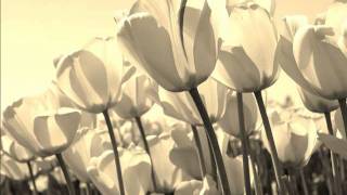 Watch Rilo Kiley The Angels Hung Around video