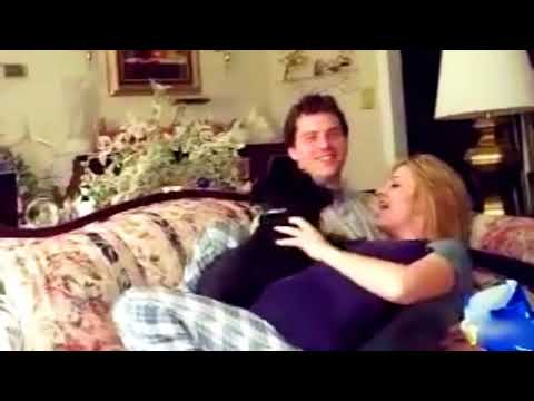 Funny Dogs Interrupting kissing Couples| Jealous Dogs