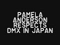 Video Pamela Anderson Respecting the Dog "DMX" ( Ron Paul 2012 )