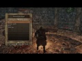 How to Access the Dark Souls 2 Crown of the Ivory King DLC