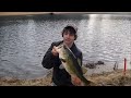 6+ Pound Bass on 3:16 Rising Son 8 Inch Swimbait