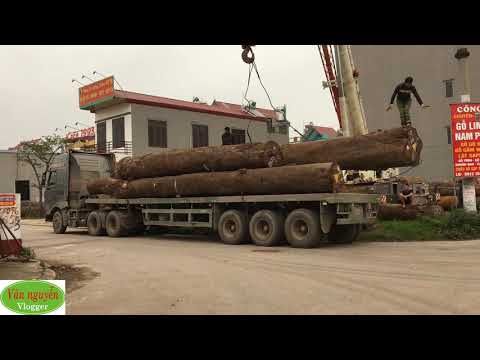 Hàng về gỗ lim nam phi chất đẹp tại bãi gỗ Nhà Anh Công - Bãi ổi - Bắc Giang