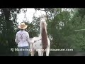 RJ, Star Horse from Movie Hidalgo