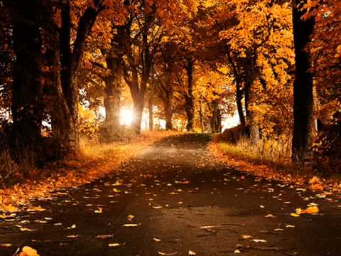 PYAR MUJHSE JO KIYA TUMNE BY MALIK SHERWANI