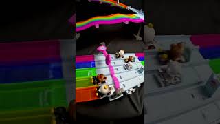 Donkey Kongs Vs King Boos