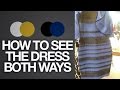 How to see The Dress BOTH ways (Black & Blue or White & Gold) | Toy Life