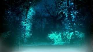 Watch Zargof And The Halls Of The Whisperer Nocturnal Voices video