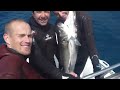 vidéos chasse sous marine hd