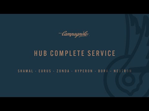 Campagnolo Shamal, Eurus, Zonda, Hyperon, Bora, Neutron  2006 / 2009 - Complete hub overhaul