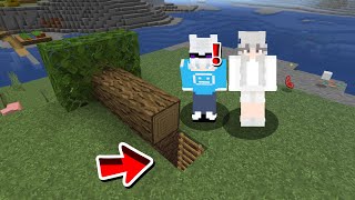 Aku & Membuat Base Rahasia Di Minecraft