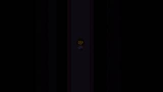 Undertale_Vhs.mp4