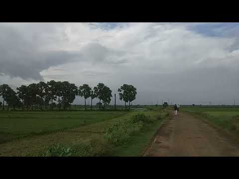 Wonderful Nature