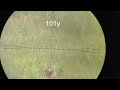 .25 cal airgun