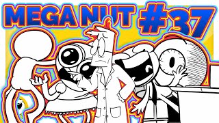 Nutshells Mega Nut Animation Memes