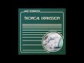 Jake Schrock - Tropical Depression - 07 - Cerebral Shelter