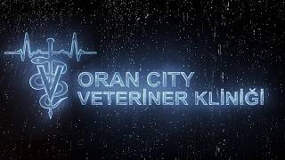 oran city veteriner kjsiz