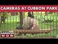 Cubbon Park To Get 120 CCTV Cameras Installed To Make Parks Safer I The News