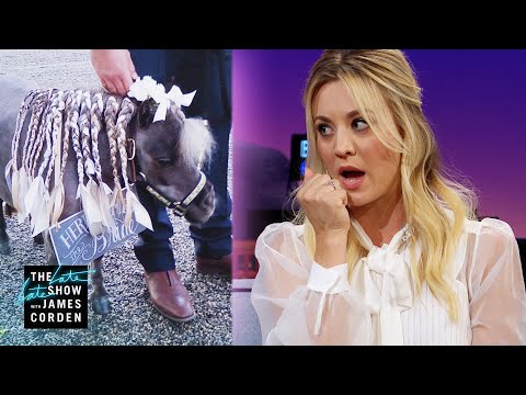Kaley Cuoco's Pony Had Cold Feet at Her Wedding