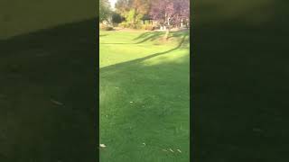 Emy & Faith - Tri City Hide And Seek, 4172021-