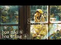 HOA NÀO HOA TRẮNG | DƯƠNG HOÀNG YẾN | OFFICIAL MUSIC VIDEO