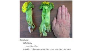 Tumblr Posts - Episode 10