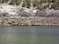 Fly fishing the San Juan River big net Brad by Andy Kim March 2011