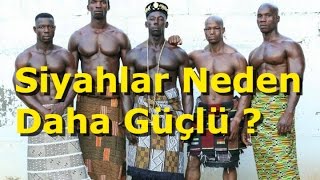 Zenciler Neden Daha Kaslı Ve Güçlü