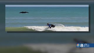 Watch Florida Photobomb video