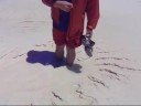 ニューカレドニア リフー島 Weのビーチの湧き水