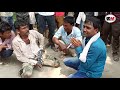 पचरा सुनते सुनते आ गयी भवानीअवध संगीत पार्टीपिछवाराअम्बेडकरनगर