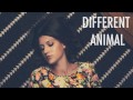 Natalie Taylor - Different Animal (featured in MTV's Finding Carter)