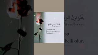 Anlamlı Güzel Ibretlik Damar Duygusal Özlü Sözler... Whatsapp Durum Videosu...