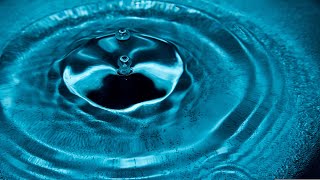 Deep As Ocean - Wasted (Official Lyric Video)