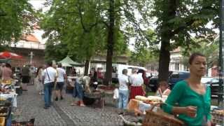 Nagymarosi snitt