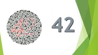 Best Colour Blindness Test in 1 minute - Mandatory for Driving License - ishihara test Best Colour Blindness Test in 1 minute - Mandatory for Driving License - ishihara test