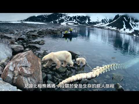 北極熊心 (IMAX 3D 粵語版) (To The Arctic)電影預告