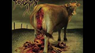 Video Chummified Cattle Decapitation