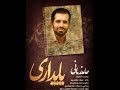 Resistance, پایداری , Hamed Zamani, (With English Subtitles)