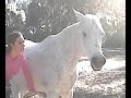 horse and girl
