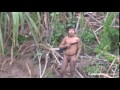 Amazon rainforest tribe makes contact with outside world