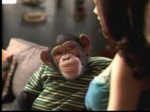 funny monkey videos. smooth monkey funny super bowl