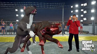 Babayla Zor Yarişirlar Termi̇natör Pi̇tbull Sülükün Fi̇şi̇ni̇ Çeki̇yor - Gta 5