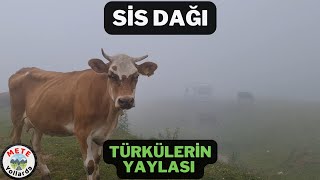 Sis Dağı Yaylası Giresun Ve Trabzonun Ortak Yaylası. Temmuz Ayında Donduk