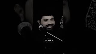 Allama Asif Reza Alavi