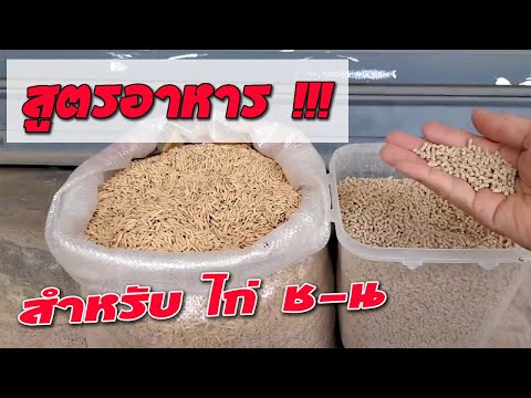 สูตรอาหารไก่หนุ่ม !! สูตรนี้สมบูรณ์แข็งแรง ขาไม่อ่อนแน่นอน (ไอเดียเกษตร) EP.38